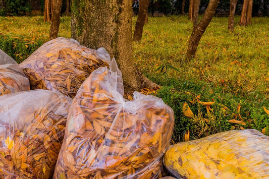 Yard with multiple bags of collected leaves and yard waste before removal by Wilk's Junk Service, highlighting a clean and organized outdoor area.